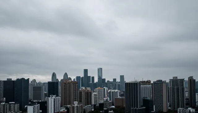 软件优化中的项目包括技术检查要点解析